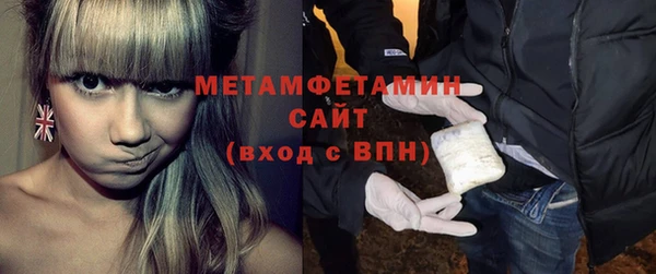 ПСИЛОЦИБИНОВЫЕ ГРИБЫ Вяземский