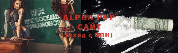 ПСИЛОЦИБИНОВЫЕ ГРИБЫ Вяземский