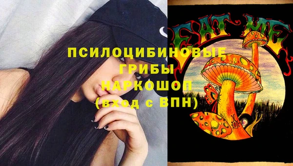 ПСИЛОЦИБИНОВЫЕ ГРИБЫ Вяземский