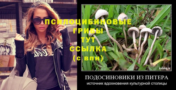 ПСИЛОЦИБИНОВЫЕ ГРИБЫ Вяземский