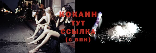 ПСИЛОЦИБИНОВЫЕ ГРИБЫ Вяземский