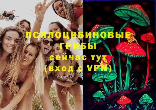 ПСИЛОЦИБИНОВЫЕ ГРИБЫ Вяземский