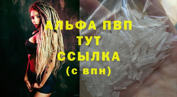 ПСИЛОЦИБИНОВЫЕ ГРИБЫ Вяземский