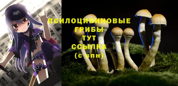 дурь Вязники