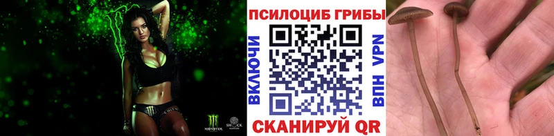 omg зеркало  Владимир  shop официальный сайт  Псилоцибиновые грибы MAGIC MUSHROOMS 